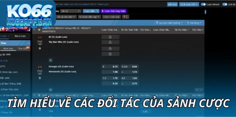 Tìm hiểu về các đối tác của sảnh cược